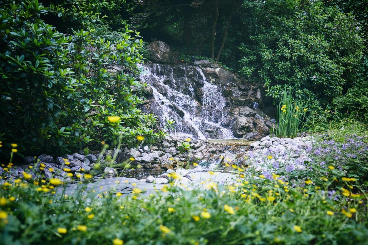 Rueters Parkhotel Виллинген Экстерьер фото
